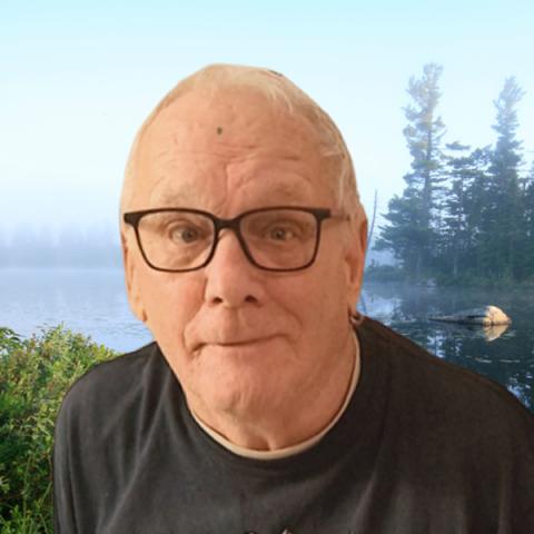 Denis Ricard