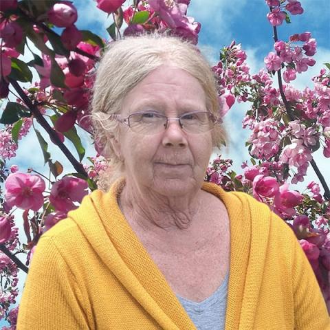 Guylaine Fluet
