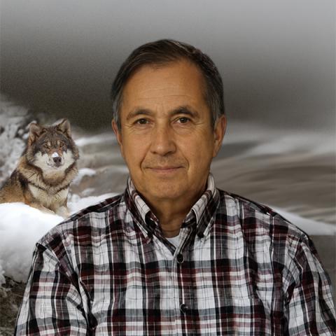 Gilles Carrier