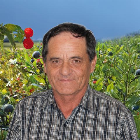 Pierre Bourassa