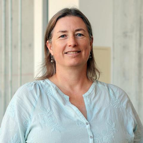 Anne Falardeau