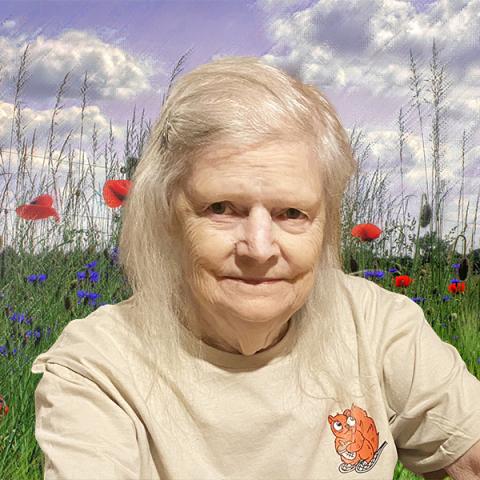Aline Levesque