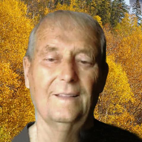 Raynald Tanguay