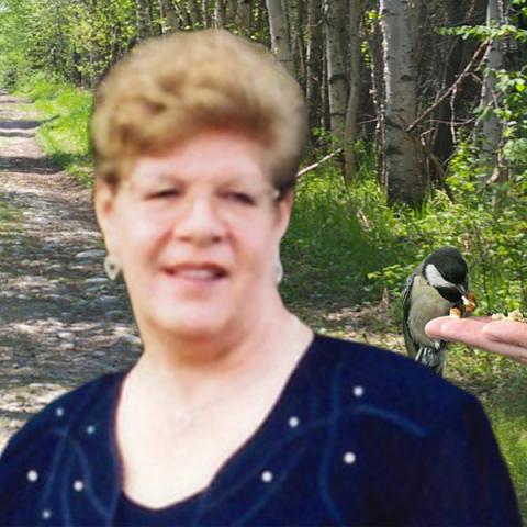 Jeannine Barrette