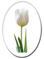 FLEURIDA DALLAIRE