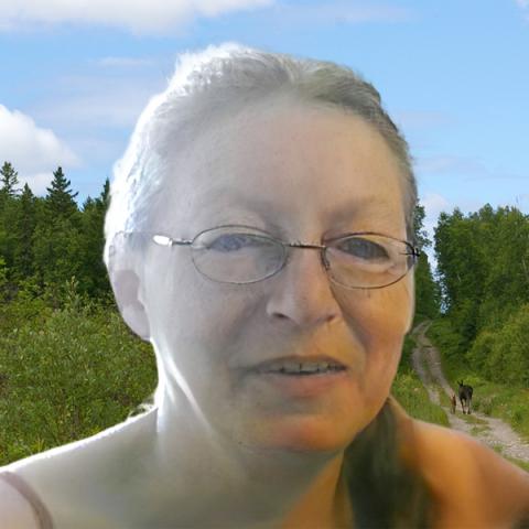 Johan Saucier