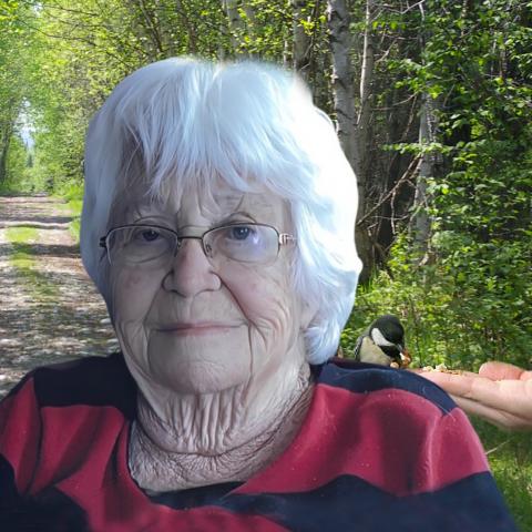 Jeannine Bourgon