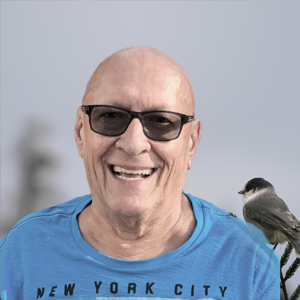 Albert (Tibert) Blier