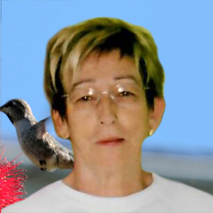 Lise Hélie