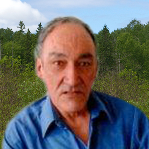 Robert Noël