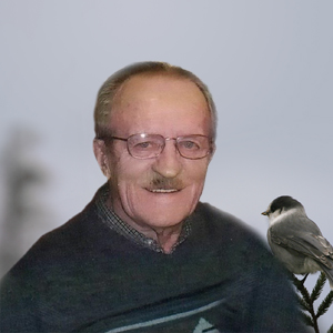 Roland Vézina
