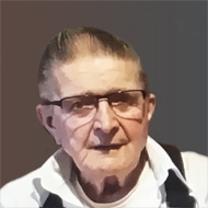 Raoul Picard
