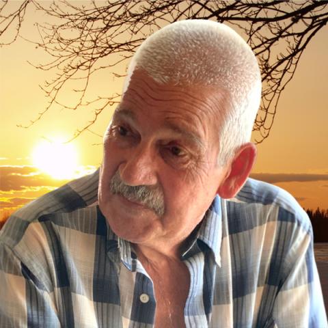 Pierre Fortin