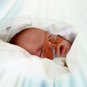 Bébé Alexy Gosselin
