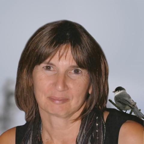 Maryse Demontigny