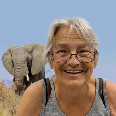 Lise (Lili) Lemay