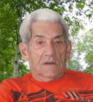 Denis Papineau