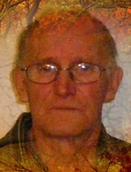 Ubald Boisvert