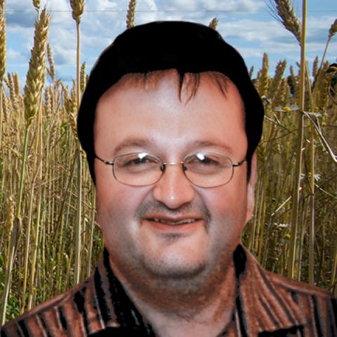 Vincent Ouellet
