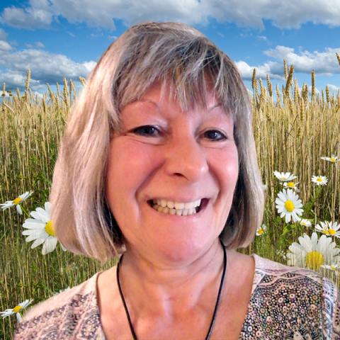 Guylaine Lafrenière