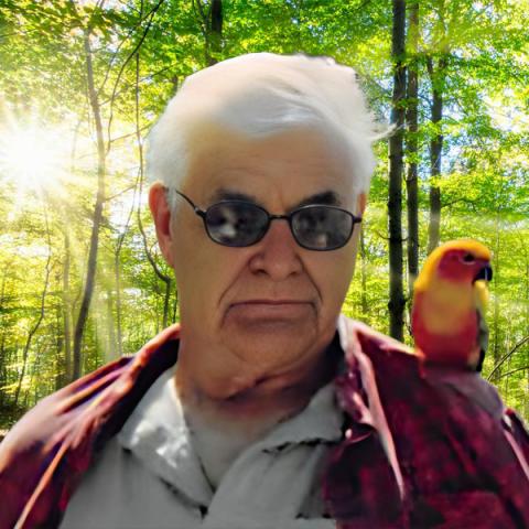 Robert Poulin