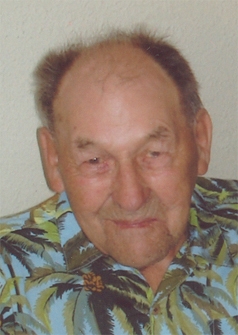 Robert Denis