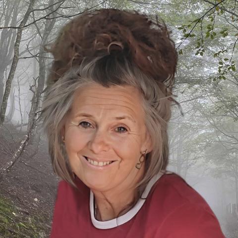 Chantal Laflamme