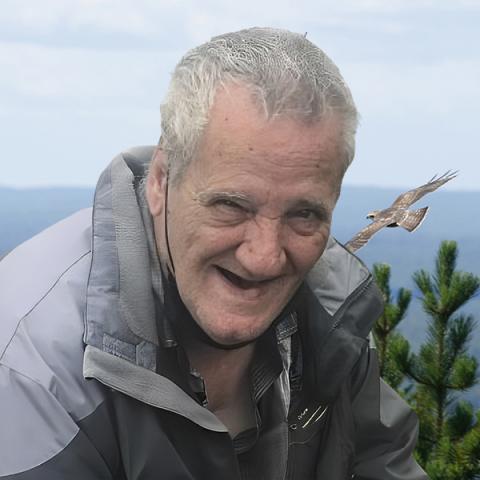 Albert Hamelin