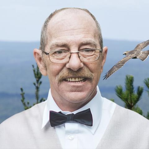 Michel Normandin