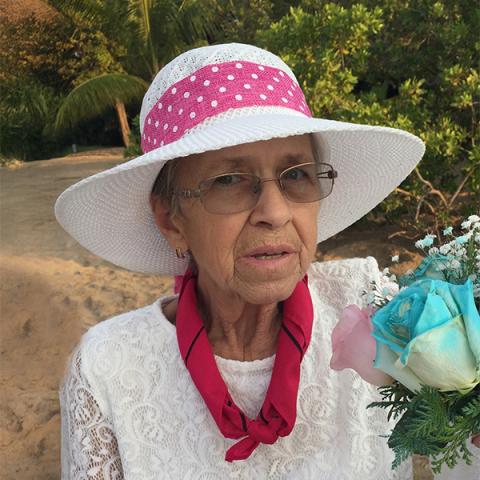 Pauline Limoges Deguise