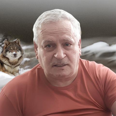 Robert Perreault