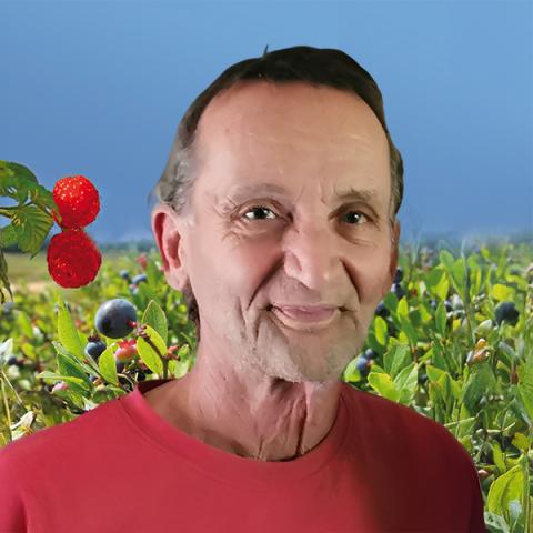 Gilles Turgeon