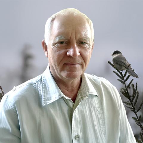 Gilles Imbeau