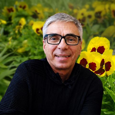 Yvon Champagne