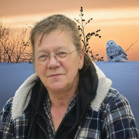 Johanne Cardinal