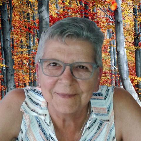 Shirley-Ann McDonnell