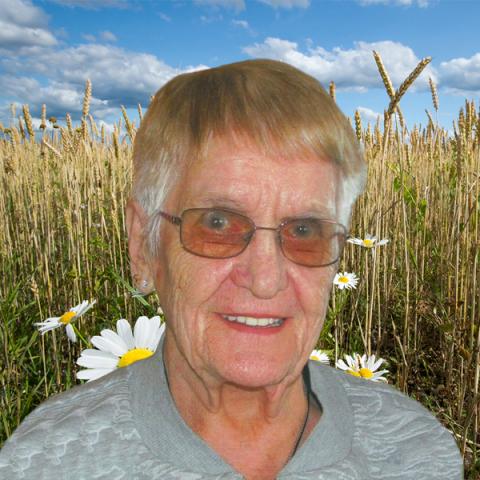 Paquerette Simard