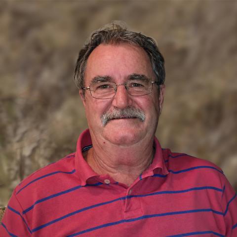 Denis Robillard