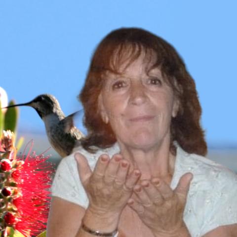 Diane Cloutier