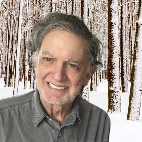 Donald Houle