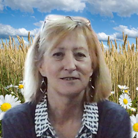 Lise Perron