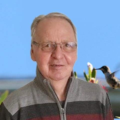 Raymond Laflamme