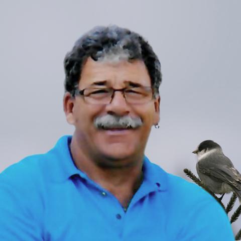 Mario Paradis