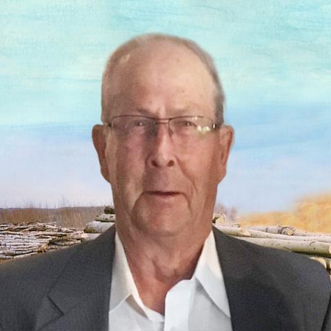 Robert Nadeau