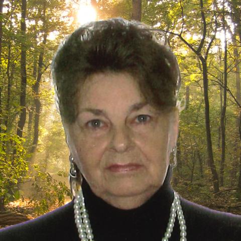 Diane Soucy