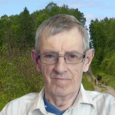 Ghislain Guy Lavoie