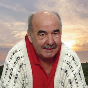 Lauréat Lemieux