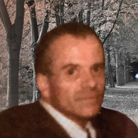 Gaston Thiffault