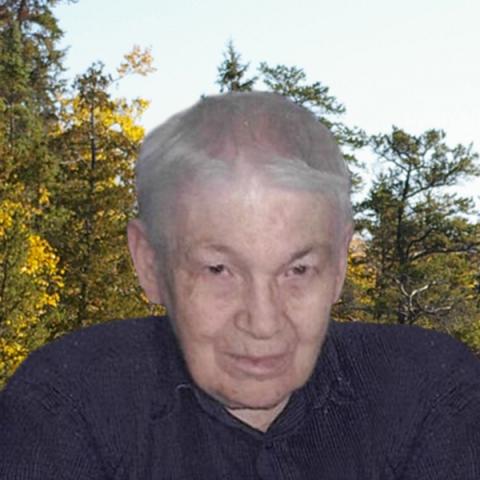 Donald Gagnon
