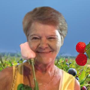 Ginette Houle
